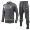 Liverpool Trainings Sweatshirt Pak Grijs 2018/2019
